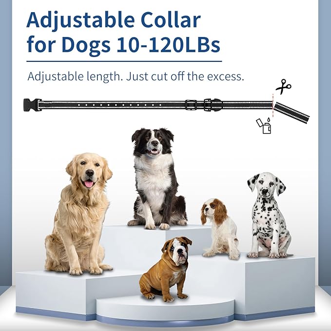Dog Training Collar with Remote - 4900FT Dog Shock Collar for IP67 Waterproof with 4 Training Modes, Security Lock，Rechargeable E-Collar for All Breeds（10-120lbs）