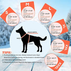 EMUST Dog Jacket Winter, Cozy Windproof Dog Jacket for Cold Weather, Solid Color Pet Vests for Winter for Medium Dogs, Orange, M