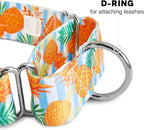 Downtown Pet Supply Big and Wide Durable Martingale Training Collars for Dogs and Puppy in Small,Medium,Large,and Extra Large Dog Collar (Pineapple),X-Large: 18.5 inch-34