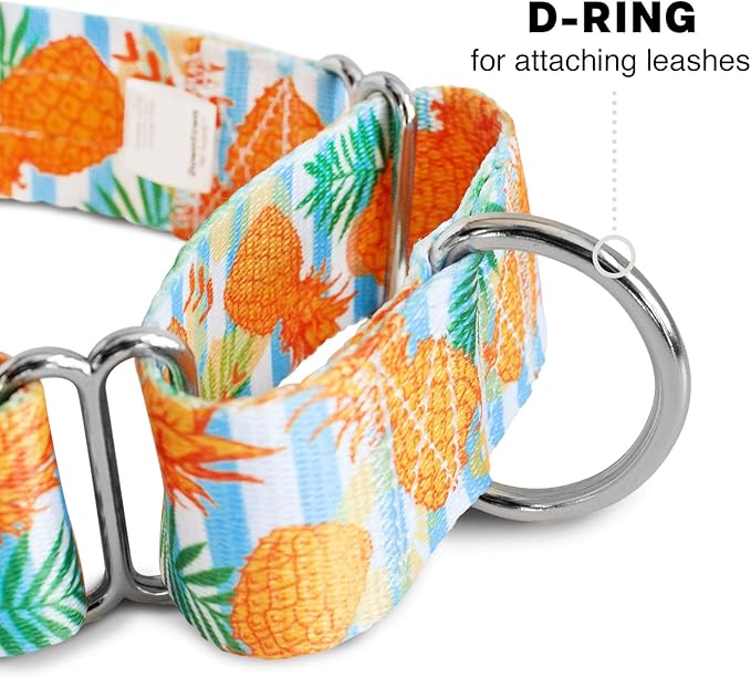 Downtown Pet Supply Big and Wide Durable Martingale Training Collars for Dogs and Puppy in Small,Medium,Large,and Extra Large Dog Collar (Pineapple),X-Large: 18.5 inch-34