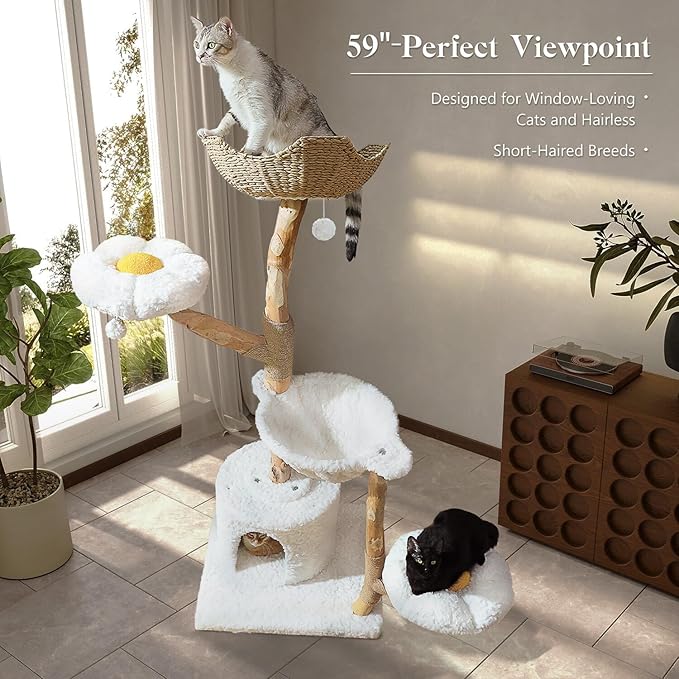 Cat Tree for Indoor Cats Large Adults, 59 Inches Modern Cat Tower with Large Basket and Hammock, Natural Solid Wood, Luxury Condo & Dual Perches, Modern Cat Furniture for Big Cats, White