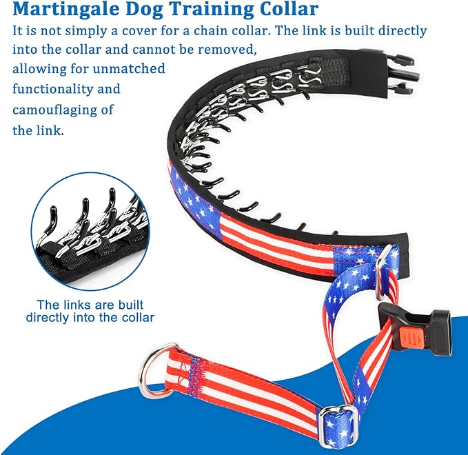 Mayerzon Martingale Prong Collar for Dogs, Patented No Pull Pinch Collar with American Flag and Buckle for Small Medium Large Dogs Training Walking Hunting, Adjustable and Heavy Duty(L, Flag)