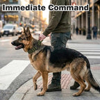 Joytale Tactical Dog Collar for Large Dogs with Control Handle, Heavy Duty Military Training Collar for Power Breeds, AirTag Holder Case, Quick Release Metal Buckle, Soft Padded, L, Army Green