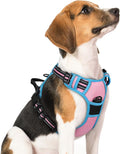 rabbitgoo Dog Harness No Pull with 2 Leash Clips, Adjustable Soft Padded, Reflective Oxford No Choke Pet Vest with Easy Control Handle for Medium Sized Dogs, Pink & Blue, M