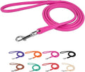 CollarDirect Rolled Leather Dog Leash 4ft, Soft Padded Training Leather Dog Lead 6ft, Puppy Leash Rolled Leather Small Medium Large Black Blue Red Orange Green Pink White (Pink, Size XL 6ft)