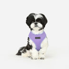 Puppia Soft Dog Harness No Choke Over-The-Head Triple Layered Breathable Mesh Adjustable Chest Belt and Quick-Release Buckle, Violet, Medium