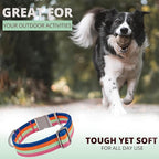 ADITYNA Cotton Dog Collar with AirTag Holder - Heavy-Duty Metal Buckle, Breathable, Easy Adjustable for Medium & Large Breeds - for Walking, Training (Bright Rainbow, Fits 15-21" Necks)