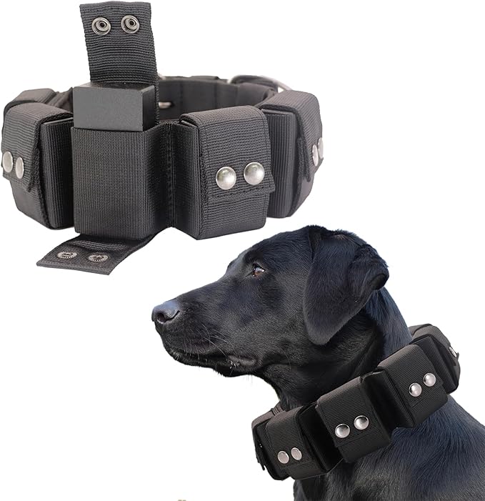 Dog Collar, Tactical Dog Collar, Weighted Dog Collar with Weights for Dog Training and Exercise Equipment - Free Weights, Small, Medium, Large Dogs
