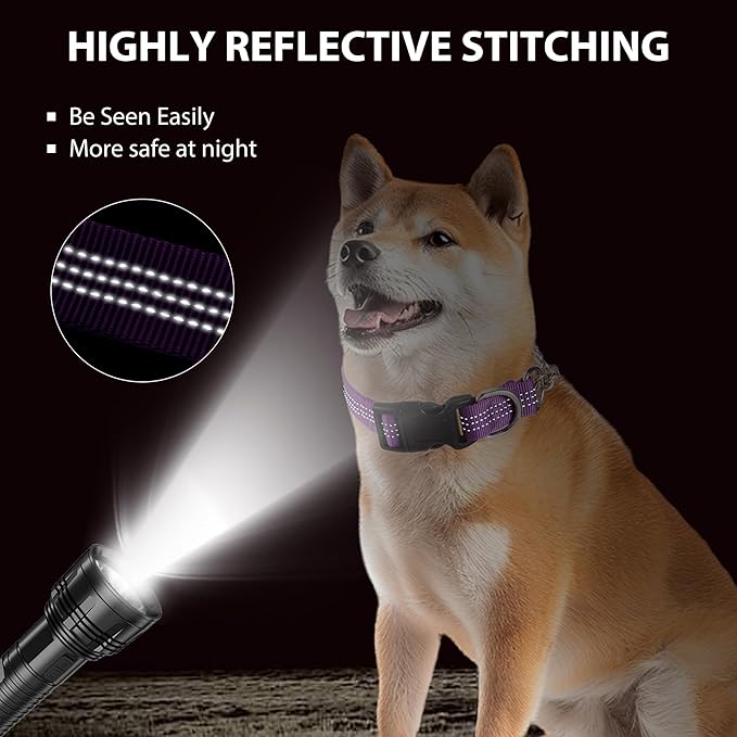 Martingale Dog Collar with Quick Release Buckle Steel Chain No Pull Training Reflective Collar for Medium Large Dogs(Purple, Medium)