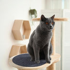 3 Pack 17.32" x 13.78" Cat Tree Attachments Accessories Tower Replacement Platform Soft Felt Blanket Wooden Perch Step Handwoven Hemp Rope Scratch for Floor to Ceiling DIY Indoor Cats Tower