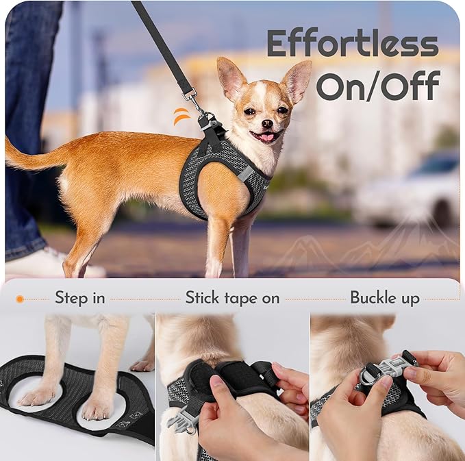 Eagloo Small Dog Harness and Leash Set, Step in Puppy Vest with Breathable Soft Mesh, Walking Reflective Pet Harness for Small Dogs, Gray, XS