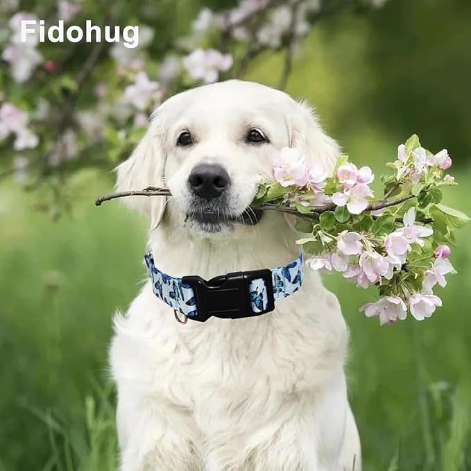 Martingale Dog Collar with Buckle Adjustable Nylon Cute Girl No Pull Anti Escape Training Dog Collars (Blue Butterfly, Medium)