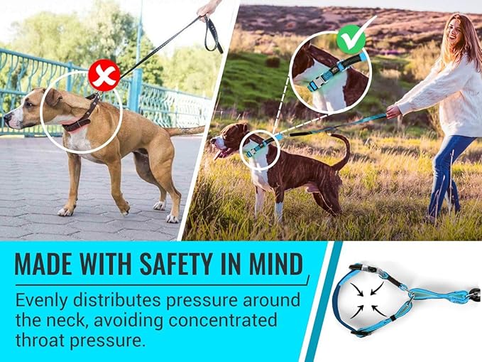 Orange Martingale Collar for Dogs - Heavy Duty Nylon Pet Collars for Escape-free, No Pull Training & Walking with Alloy Metal Release Buckle & Reflective D Ring, One Time Adjustment, Safe & Secure, XL
