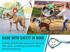Black Martingale Collar for Dogs - Heavy Duty Nylon Pet Collars for Escape-Free, No Pull Training & Walking with Alloy Metal Release Buckle & Reflective D Ring, One Time Adjustment, Safe & Secure, L