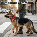 Joytale Tactical Dog Collar for Medium Dogs with Control Handle, Heavy Duty Military Training Collar for Power Breeds, AirTag Holder Case, Quick Release Metal Buckle, Soft Padded, M, Red