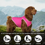 2 Pack Cooling Shirts for Dogs, Lightweight Mesh Breathable Dog Shirt for Medium Dogs Girl,Sun-Protection Sleeveless Shirts for Dog&Cat Puppy Vest Pet Apparel P23ST00601XXL