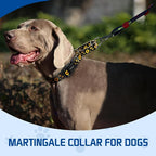 Kazazoo Martingale Collar for Dogs with Quick Release Buckle Adjustable Soft Durable Dog Collar for Small Medium Large No Pull Training Dog Collars-Black Sunflower L