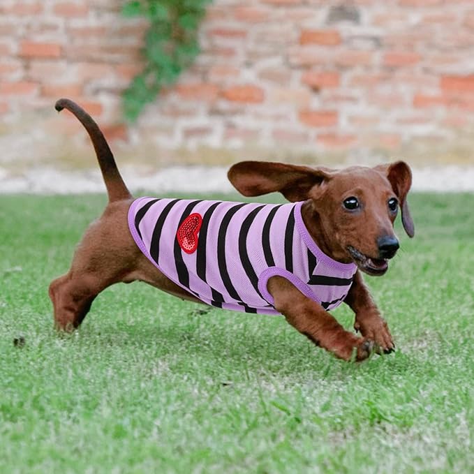 Dog Shirts for Medium Dogs, Striped T-Shirts Pets Vest Pet Apparel Tee Shirts Dog Tank Top Spring Summer Suitable for Chihuahua French Bulldog Bichon Shih Tzu