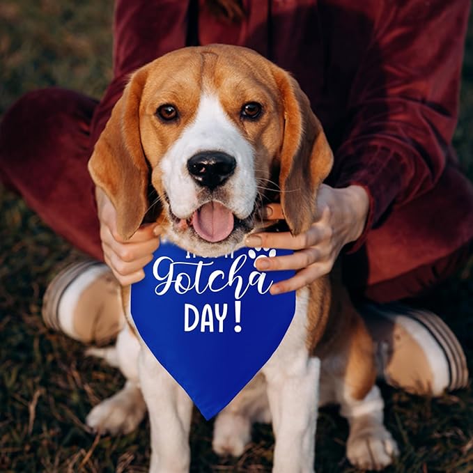It's My Gotcha Day Blue Dog Bandana Adoption Day Dog Bandana for Dogs Funny Pet Dog Puppy Bandana Photo Prop Accessories for Pet Dog Lovers Owner Gift
