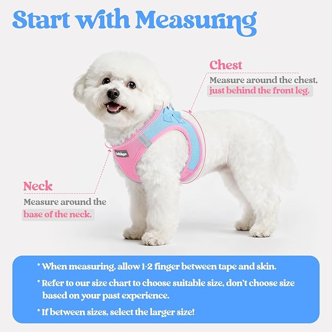 rabbitgoo Dog Harness Small Sized and Leash Set, Step in Soft Light Puppy Vest, Breathable Mesh Pet Harness, Reflective for Safe Easy Walking, Blue & Light Pink XXS