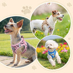 BEAUTYZOO Step in Dog Harness and Leash Set,Reflective Dog Harness No Pull No Choke Puppy Harness for Small Medium Large Dogs Cats,Soft Padded Mesh Vest Harnesses for Girl and Boy Pet,Leopard Pink XS