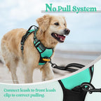 rabbitgoo Dog Harness No Pull with 2 Leash Clips, Adjustable Soft Padded, Reflective Oxford No Choke Pet Vest with Easy Control Handle for Large Dogs, Turquoise, XL