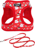 PUPTECK Dog Harness and Leash Set for Small Medium Dogs No Pull Step-in Soft Mesh Puppy Cat Vest Harnesses Reflective at Night, Christmas, S