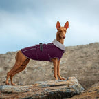 Lelepet Warm Dog Coat Waterproof Dog Jacket for Extra Large Dogs Reflective Fleece Vest with Adjustable Buckle Hook & Loop Windproof Cold Weather Coats for Small Medium Large Dogs, Dark Purple, XXXL