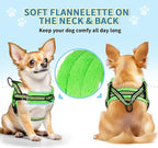 Lukovee Soft Padded Small Dog Harness (X-Small, Green) with 4ft Lightweight Leash, Adjustable Reflective Vest for Walking, Running, Hiking, Training