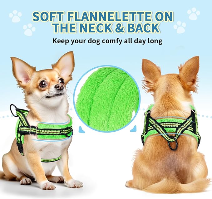 Lukovee No Pull Dog Harness and Leash Set, Soft Padded Small Dog Harness, Neck & Chest Adjustable Reflective Vest Puppy Harness with 4ft Lightweight Anti-Twist Dog Leash for Small Dogs (S, Green)