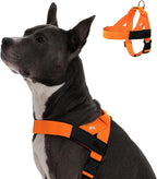 DF Co. Dog Harness | Chafe Resistant Webbing, Adjustable Neck & Chest, and Heavy Duty D-Ring | Sturdy, Comfortable, Easy to Use | Hi-Vis Orange, Size S
