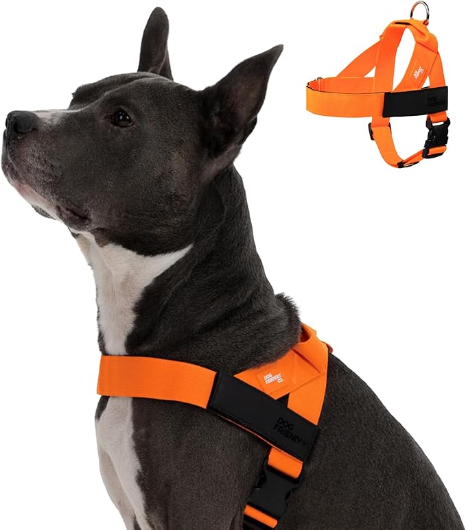 DF Co. Dog Harness | Chafe Resistant Webbing, Adjustable Neck & Chest, and Heavy Duty D-Ring | Sturdy, Comfortable, Easy to Use | Hi-Vis Orange, Size S