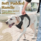 rabbitgoo Dog Harness for Large Dogs, No Pull Pet Harness with Soft Padded Handle, Adjustable Reflective Vest with 3 Buckles, Easy Walking Harness with 2 Leash Clips, Black, XL