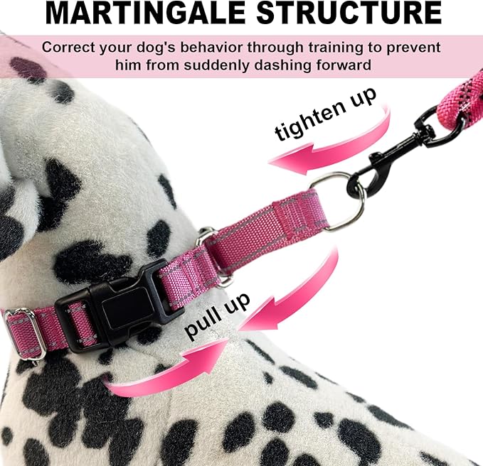 Martingale Collar for Dogs,Reflective Martingale Dog Collars with Quick Release Buckle,Adjustable Nylon No Pull Dog Collar for Walking Training (Red, Extra Large)