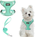 PUPTECK Small Dog Harness and Leash Set, No Pull Adjustable Puppy Cat Harness, Reflective Soft Mesh Pet Vest Small Sized, Green, S