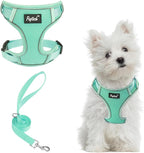 PUPTECK Small Dog Harness and Leash Set, No Pull Adjustable Puppy Cat Harness, Reflective Soft Mesh Pet Vest Small Sized, Green, S