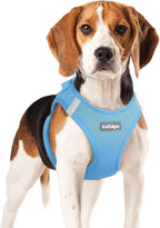 rabbitgoo Small Dog Harness, Step-in Soft Mesh Puppy Vest with Safety Buckle, Breathable Reflective Pet Harness for Small Medium Dogs, Blue XL
