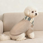 SCENEREAL Dog Sweaters for Small Medium Dogs, Pet Hoodie Sweatshirts Winter Knitted Pullovers with Fashion Shirt Collar, Puppy Clothes Cold Weather Coats, Beige SM