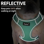 PUPTECK Small Dog Harness and Leash Set, No Pull Adjustable Puppy Cat Harness, Reflective Soft Mesh Pet Vest Small Sized, Green, S