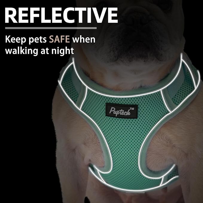 PUPTECK Small Dog Harness and Leash Set, No Pull Adjustable Puppy Cat Harness, Reflective Soft Mesh Pet Vest Small Sized, Green, L