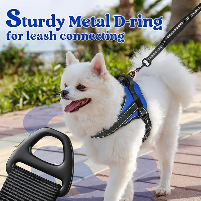 rabbitgoo Dog Harness Medium Sized, No Pull No Choke Pet Vest, Easy Wearing with One Buckle, Reflective, Adjustable Pet Harness with Molle for Walking, Training, Blue, M
