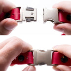 Educator 1-Inch Dog Training Collar Strap – ONLY Fits FE-580, ET-800 & UL-1200 Receivers – NOT Compatible with Mini Educator (ET-300/ET-400) – Quick Snap Biothane Bungee Collar, Red