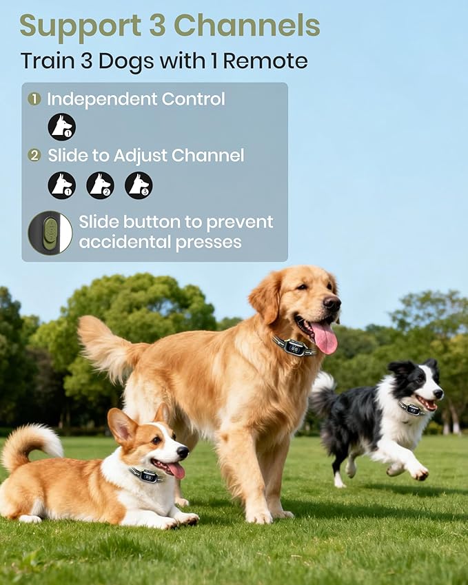 2-in-1 Bark & Shock Collar - Color Screen Dog Training Collar with Beep/Vibration/Shock/Anti Bark 4 Modes, 3300FT E Collar with Remote for Small Medium Large Dogs, IP67 Waterproof Rechargeable