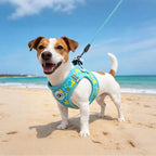 BEAUTYZOO Small Dog Harness and Leash Set,Step in No Choke No Pull Soft Mesh Dog Harnesses Reflective for Extra-Small/Small Medium Puppy Dogs and Cats,BlueDuck M