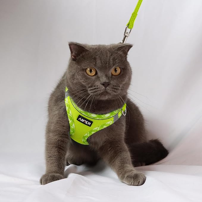 AMTOR Small Dog Harness with Leash Set, No Escape Easy Walk Puppy Harnesses for Training Walking, Step-in Reflective Soft Dogs Vest for XS S Medium Extra-Small Large Sized Dog(XXS Size,Green/White)