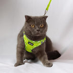 AMTOR Small Dog Harness with Leash Set, No Escape Easy Walk Puppy Harnesses for Training Walking, Step-in Reflective Soft Dogs Vest for XS S Medium Extra-Small Large Sized Dog(M Size,Green/White)