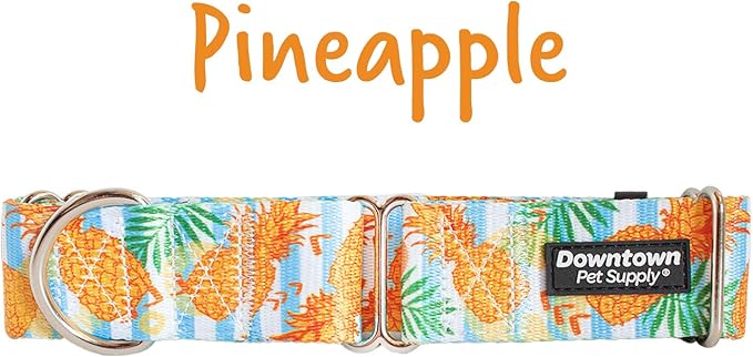 Downtown Pet Supply Big and Wide Durable Martingale Training Collars for Dogs and Puppy in Small,Medium,Large,and Extra Large Dog Collar (Pineapple),X-Large: 18.5 inch-34