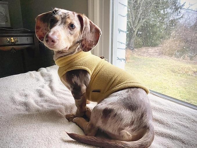 Gooby Fleece Vest Dog Sweater - Honey Mustard, X-Large - Warm Pullover Fleece Dog Jacket with O-Ring Leash for Small to Medium Dogs
