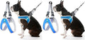 Gooby Simple Step in III Harness - Blue, Large - Small Dog Harness with Scratch Resistant Outer Vest - Soft Inner Mesh Harness for Small, Medium Dogs (Pack of 2)