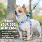 BEAUTYZOO Step in Dog Harness and Leash Set,Floral Pattern Reflective Dog Harness No Pull No Choke Puppy Harness for Small Medium Large Dogs Cats,Soft Padded Mesh Vest Harnesses for Girl and Boy Pets